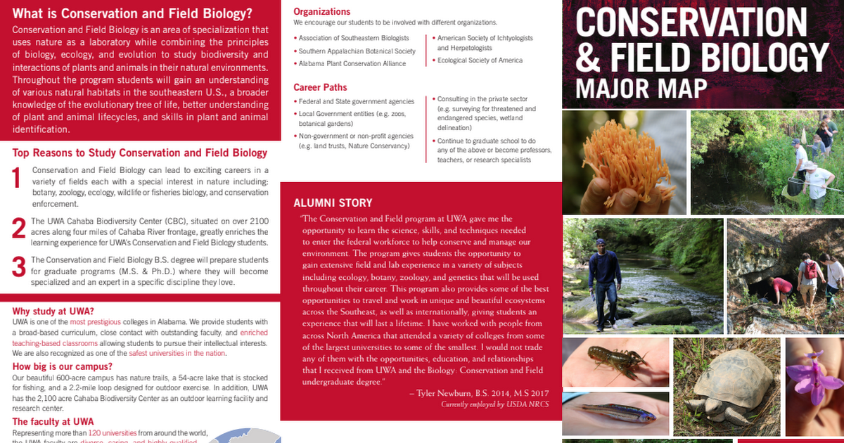 UWA International Programs Linktree